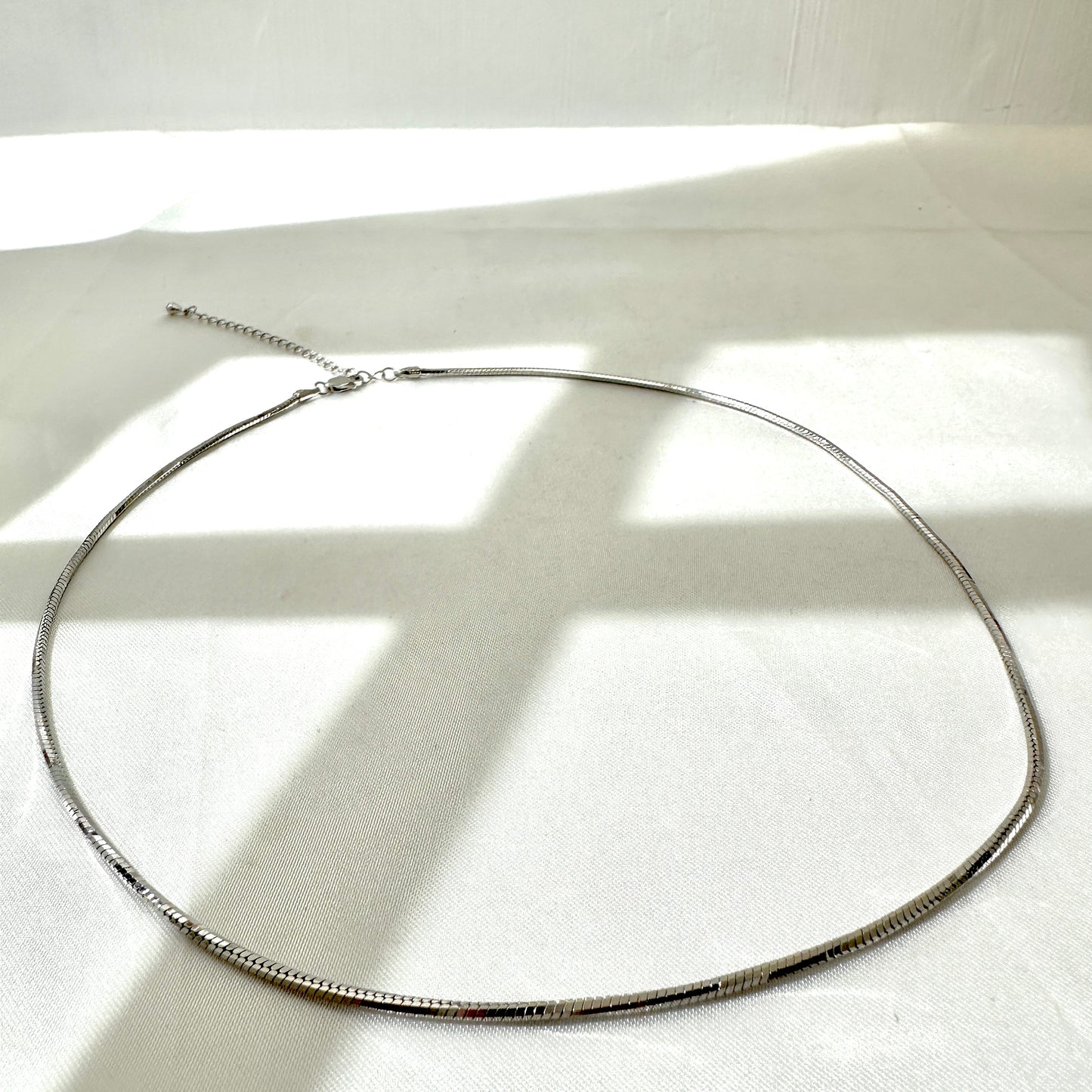 Ouroboros Silver Necklace